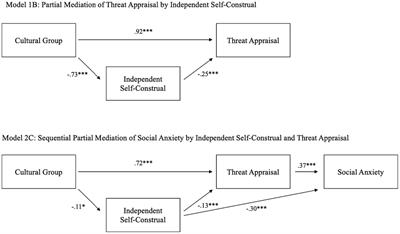 “Unpacking” cultural differences in social anxiety between Japanese and European Americans: the roles of threat appraisal and attentional bias